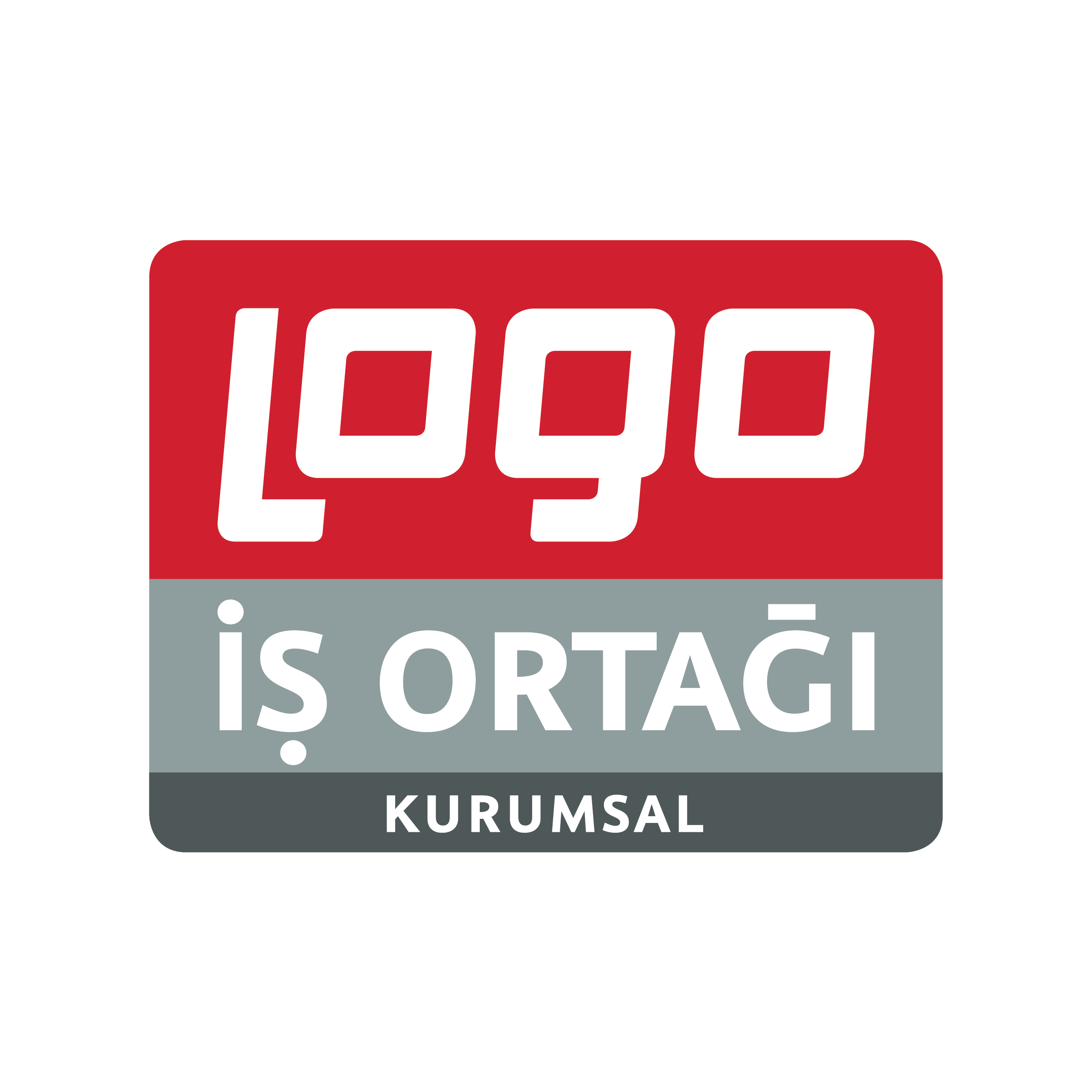 Saba Digital- Logo Yazılım Bayisi